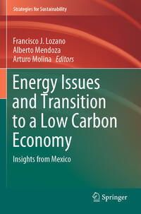 Vorderes Coverbild Energy Issues and Transition to a Low Carbon Economy
