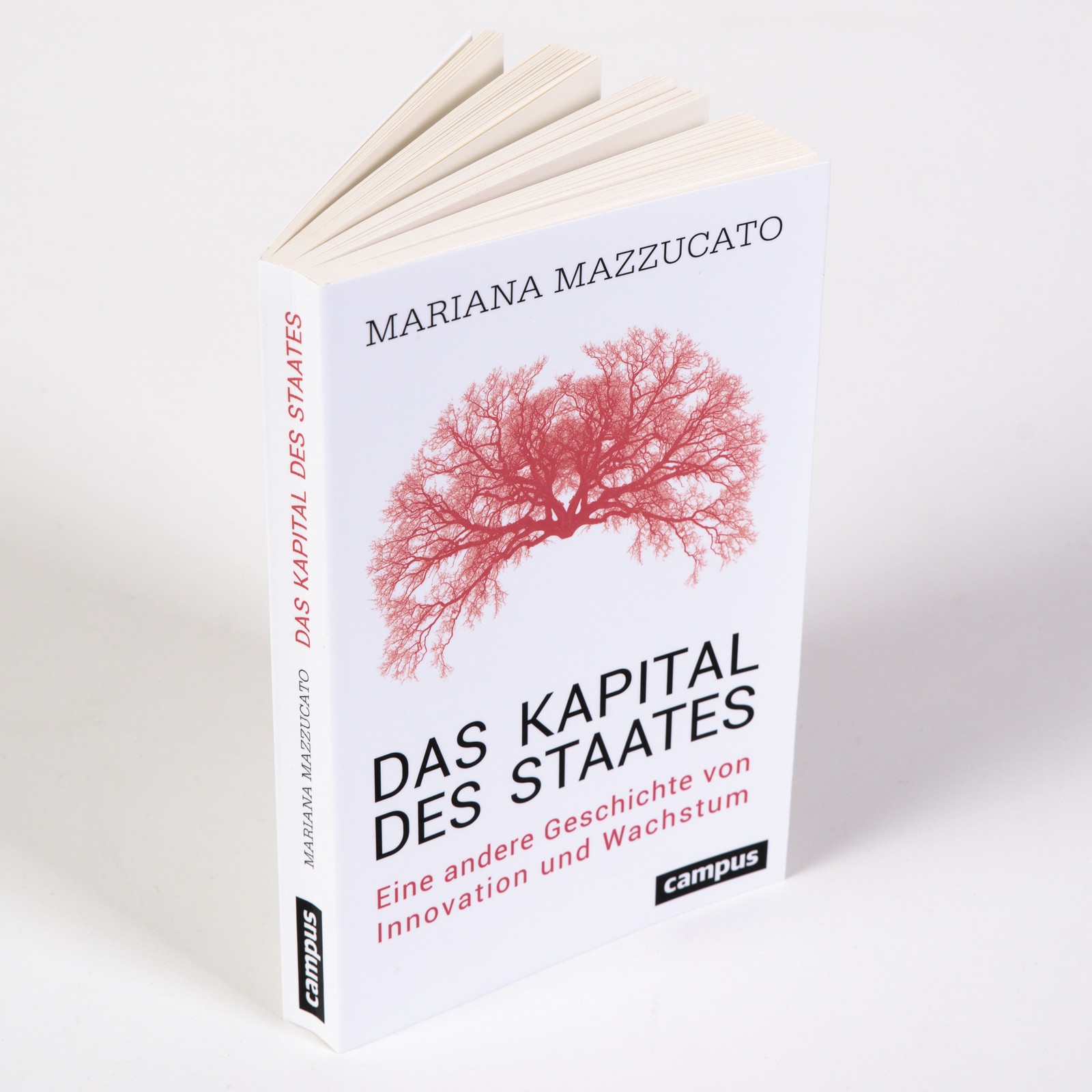 Anderes Coverbild Das Kapital des Staates