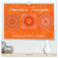 Vorderes Coverbild Mandala Trilogien (hochwertiger Premium Wandkalender 2025 DIN A2 quer), Kunstdruck in Hochglanz