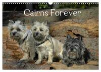 Vorderes Coverbild Cairns Forever (Wandkalender 2025 DIN A3 quer), CALVENDO Monatskalender
