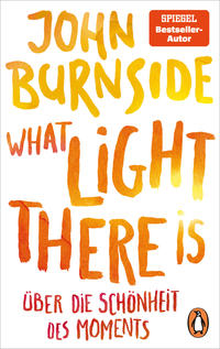 Vorderes Coverbild What light there is – Über die Schönheit des Moments