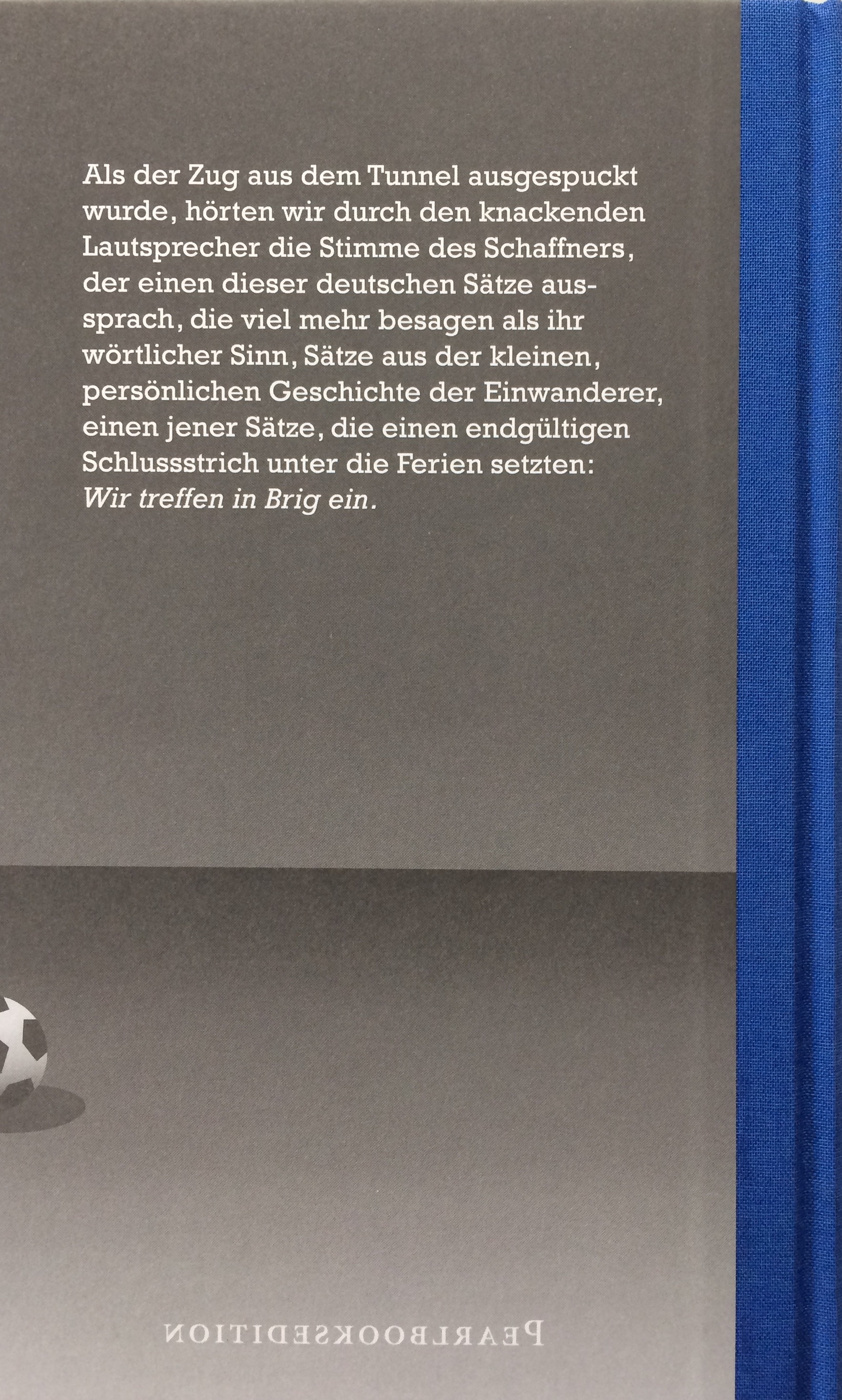 Rückseitencover Nächster Halt: Brig
