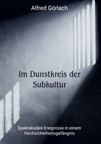 Vorderes Coverbild Im Dunstkreis der Subkultur