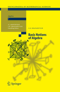 Vorderes Coverbild Basic Notions of Algebra