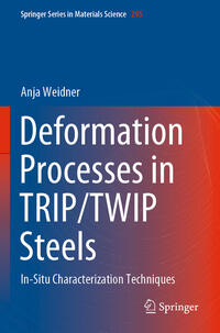 Vorderes Coverbild Deformation Processes in TRIP/TWIP Steels