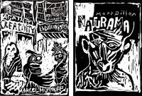 Vorderes Coverbild Matt Dillon & Marcel Hüppauff: Naturama |&nbsp;Against Creativity