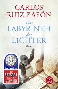 Vorderes Coverbild Das Labyrinth der Lichter