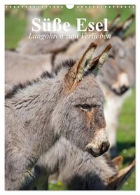 Vorderes Coverbild Süße Esel. Langohren zum Verlieben (Wandkalender 2026 DIN A3 hoch), CALVENDO Monatskalender