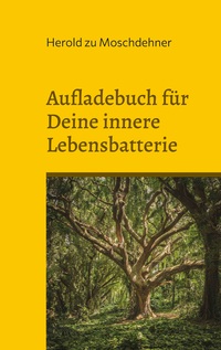 Vorderes Coverbild Aufladebuch für Deine innere Lebensbatterie