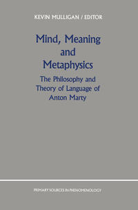 Vorderes Coverbild Mind, Meaning and Metaphysics