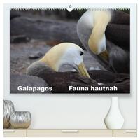 Vorderes Coverbild Galapagos. Fauna hautnah (hochwertiger Premium Wandkalender 2025 DIN A2 quer), Kunstdruck in Hochglanz