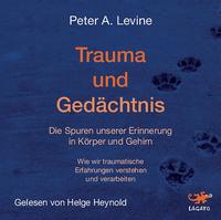 Vorderes Coverbild Trauma und Gedächtnis