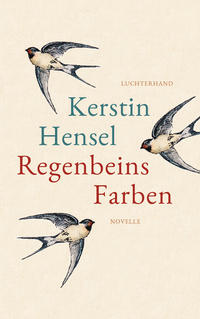 Vorderes Coverbild Regenbeins Farben