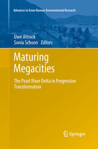 Vorderes Coverbild Maturing Megacities