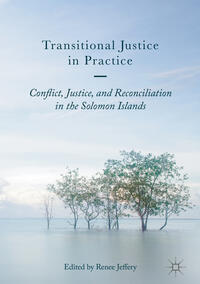 Vorderes Coverbild Transitional Justice in Practice
