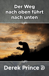 Vorderes Coverbild Der Weg nach oben führt nach unten