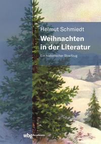 Vorderes Coverbild Weihnachten in der Literatur