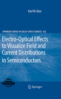 Vorderes Coverbild Electro-Optical Effects to Visualize Field and Current Distributions in Semiconductors