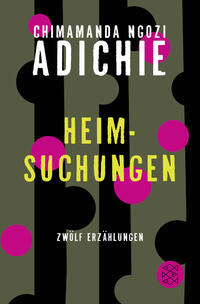 Vorderes Coverbild Heimsuchungen