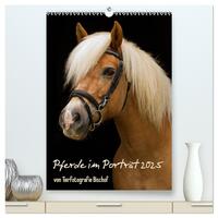 Vorderes Coverbild Pferde im Portait (hochwertiger Premium Wandkalender 2025 DIN A2 hoch), Kunstdruck in Hochglanz