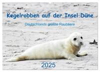 Vorderes Coverbild Kegelrobben auf der Insel Düne (Wandkalender 2025 DIN A2 quer), CALVENDO Monatskalender