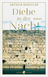 Vorderes Coverbild Diebe in der Nacht