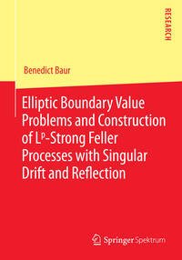 Vorderes Coverbild Elliptic Boundary Value Problems and Construction of Lp-Strong Feller Processes with Singular Drift and Reflection