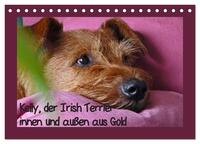 Vorderes Coverbild Kelly, der Irish Terrier - innen und außen aus Gold (Tischkalender 2025 DIN A5 quer), CALVENDO Monatskalender
