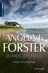 Vorderes Coverbild In falscher Hand