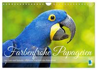 Vorderes Coverbild Farbenfrohe Papageien (Wandkalender 2025 DIN A4 quer), CALVENDO Monatskalender