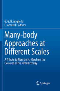 Vorderes Coverbild Many-body Approaches at Different Scales