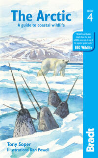 Vorderes Coverbild Arctic