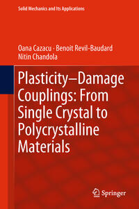 Vorderes Coverbild Plasticity-Damage Couplings: From Single Crystal to Polycrystalline Materials