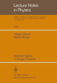 Vorderes Coverbild Selected Topics in Gauge Theories