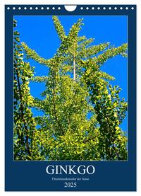 Vorderes Coverbild Ginkgo (Wandkalender 2025 DIN A4 hoch), CALVENDO Monatskalender