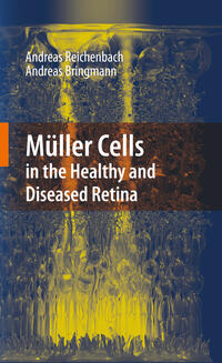Vorderes Coverbild Müller Cells in the Healthy and Diseased Retina