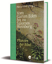 Vorderes Coverbild Vom Garten Eden bis zu Salomos Weinberg