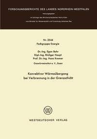 Vorderes Coverbild Konvektiver Wärmeübergang bei Verbrennung in der Grenzschicht