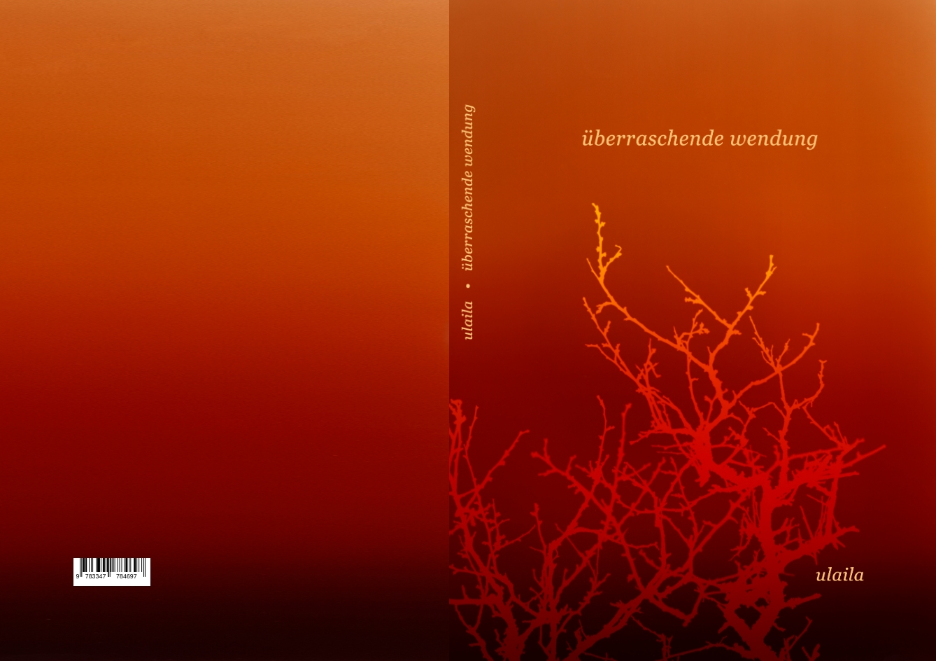 Gesamtes Coverbild überraschende wendung
