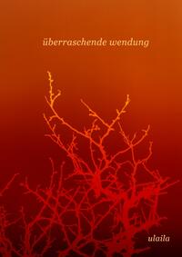 Vorderes Coverbild überraschende wendung
