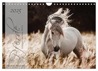 Vorderes Coverbild Pferde - Spiegel deiner Seele (Wandkalender 2025 DIN A4 quer), CALVENDO Monatskalender