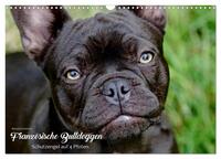 Vorderes Coverbild Französische Bulldoggen - Schutzengel auf 4 Pfoten (Wandkalender 2025 DIN A3 quer), CALVENDO Monatskalender