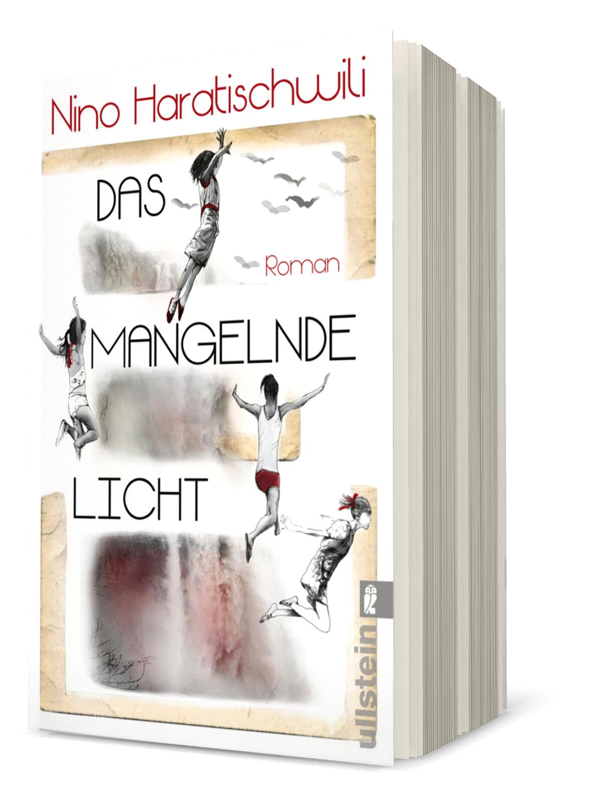 Anderes Coverbild Das mangelnde Licht
