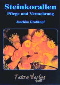 Vorderes Coverbild Steinkorallen