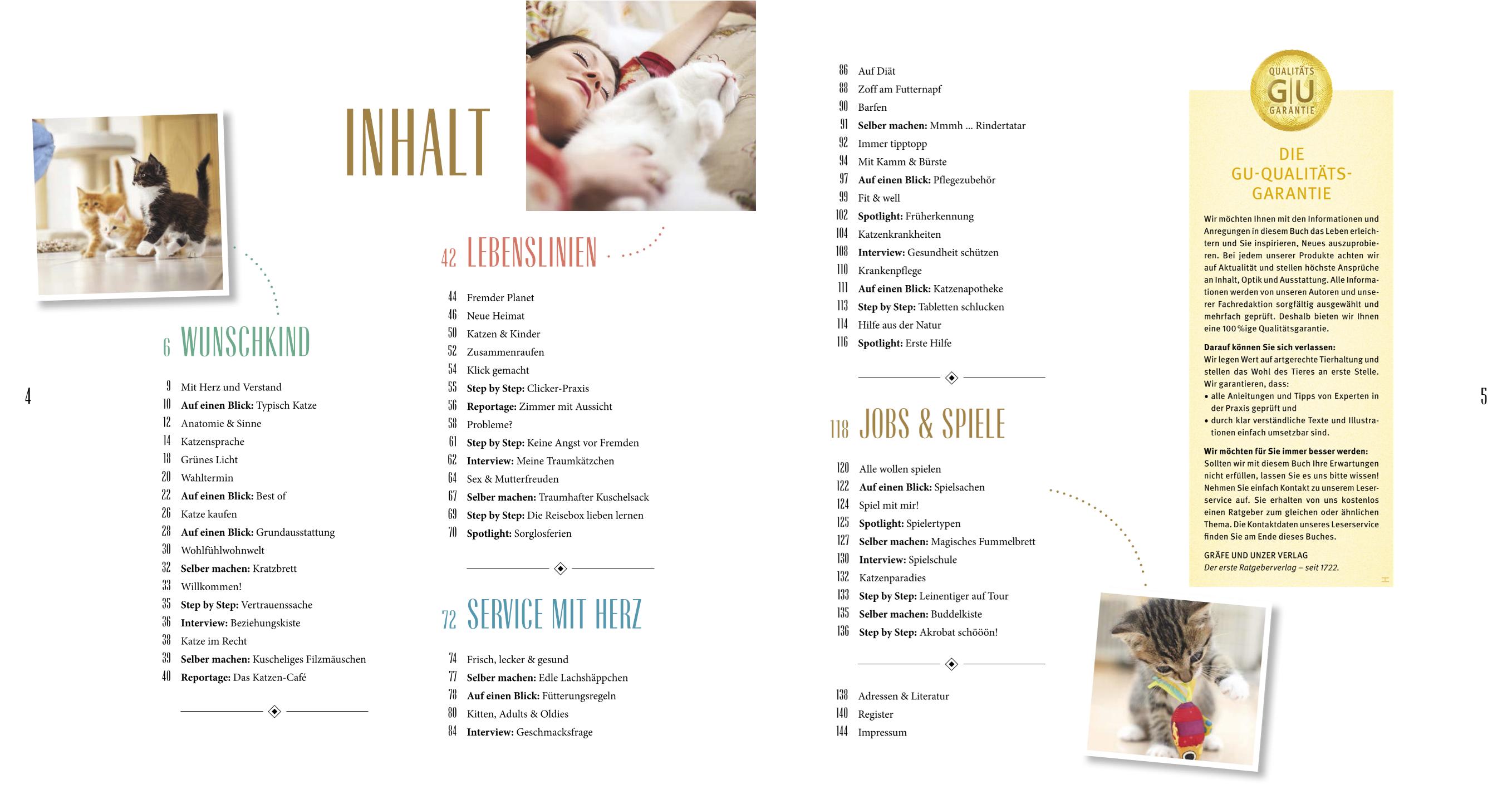 Beispielinhalt (Bild) Katzen-Basics