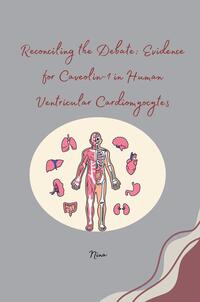 Vorderes Coverbild Reconciling the Debate: Evidence for Caveolin-1 in Human Ventricular Cardiomyocytes