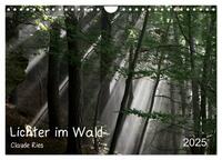 Vorderes Coverbild Lichter im Wald (Wandkalender 2025 DIN A4 quer), CALVENDO Monatskalender