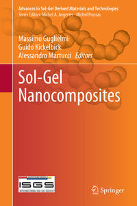 Vorderes Coverbild Sol-Gel Nanocomposites