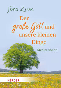 Vorderes Coverbild Der große Gott und unsere kleinen Dinge