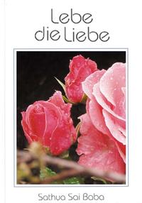 Vorderes Coverbild Lebe die Liebe